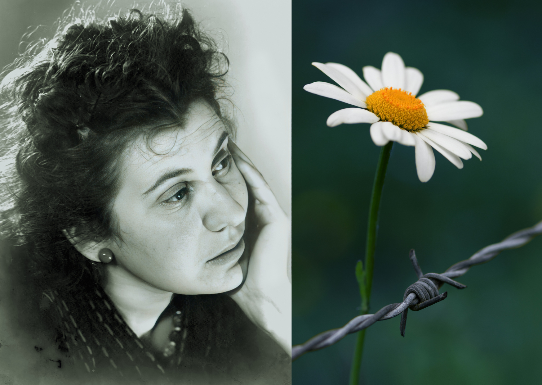Vivre libre avec Etty Hillesum – Session / Retraite