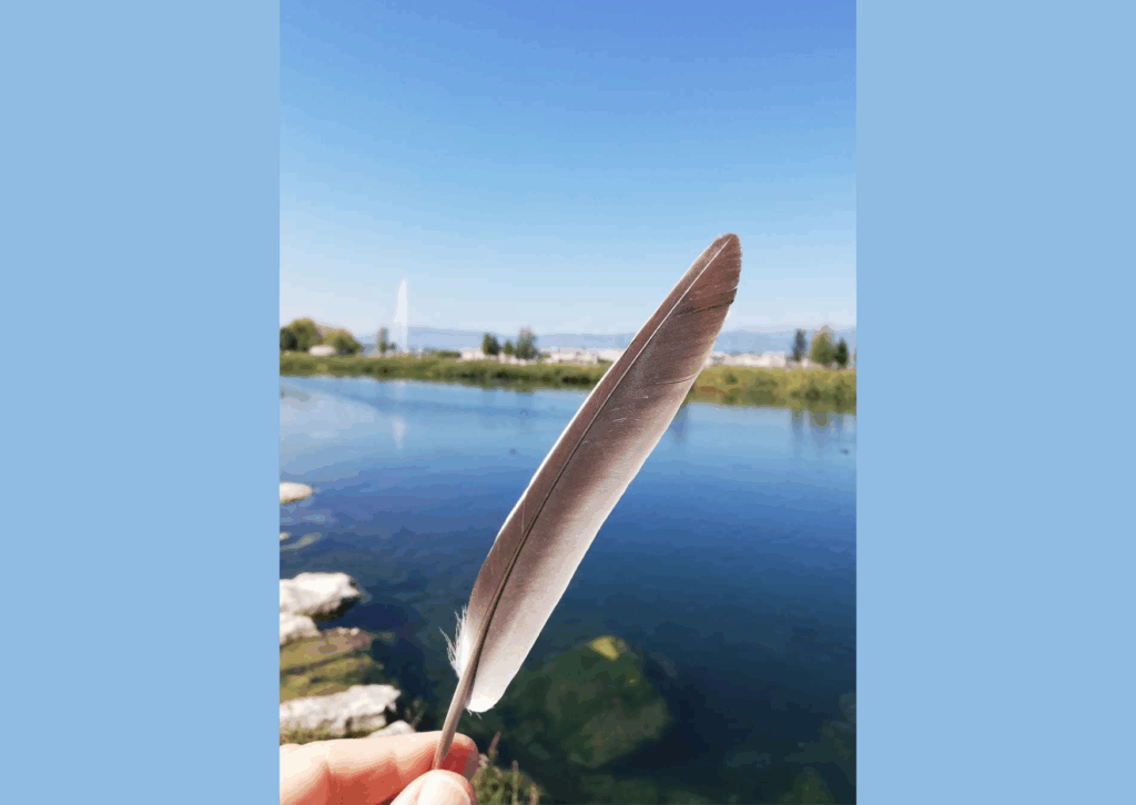 La plume évoque l'écriture, le paysage les territoires du titre