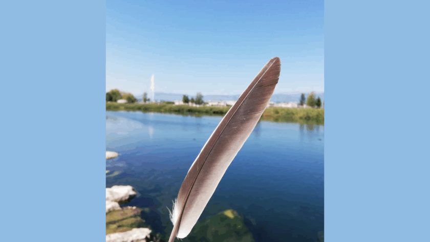 La plume évoque l'écriture, le paysage les territoires du titre